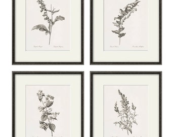 Antique botanical prints SET of 4 Botanical art prints flower prints wall art flowers botanical poster antique wall art home decor wall art