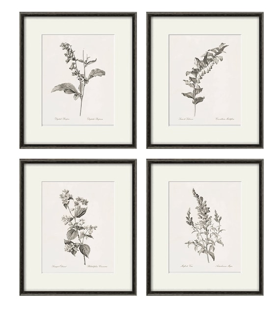 Antique Botanical Prints SET of 4 Botanical Art Prints Flower | Etsy