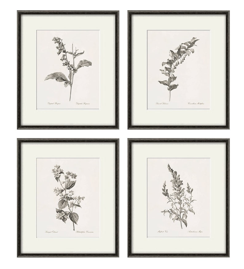 Antique Botanical Prints SET of 4 Botanical Art Prints Flower Etsy