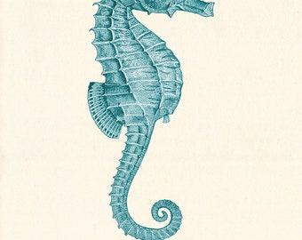 Antique Seahorse Art Print, Vintage Nautical Wall Decor