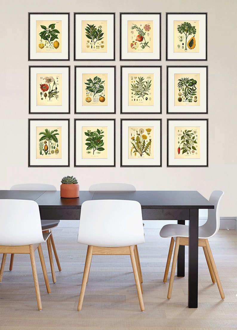 Walnut antique botanical art print kitchen plants art garden Etsy