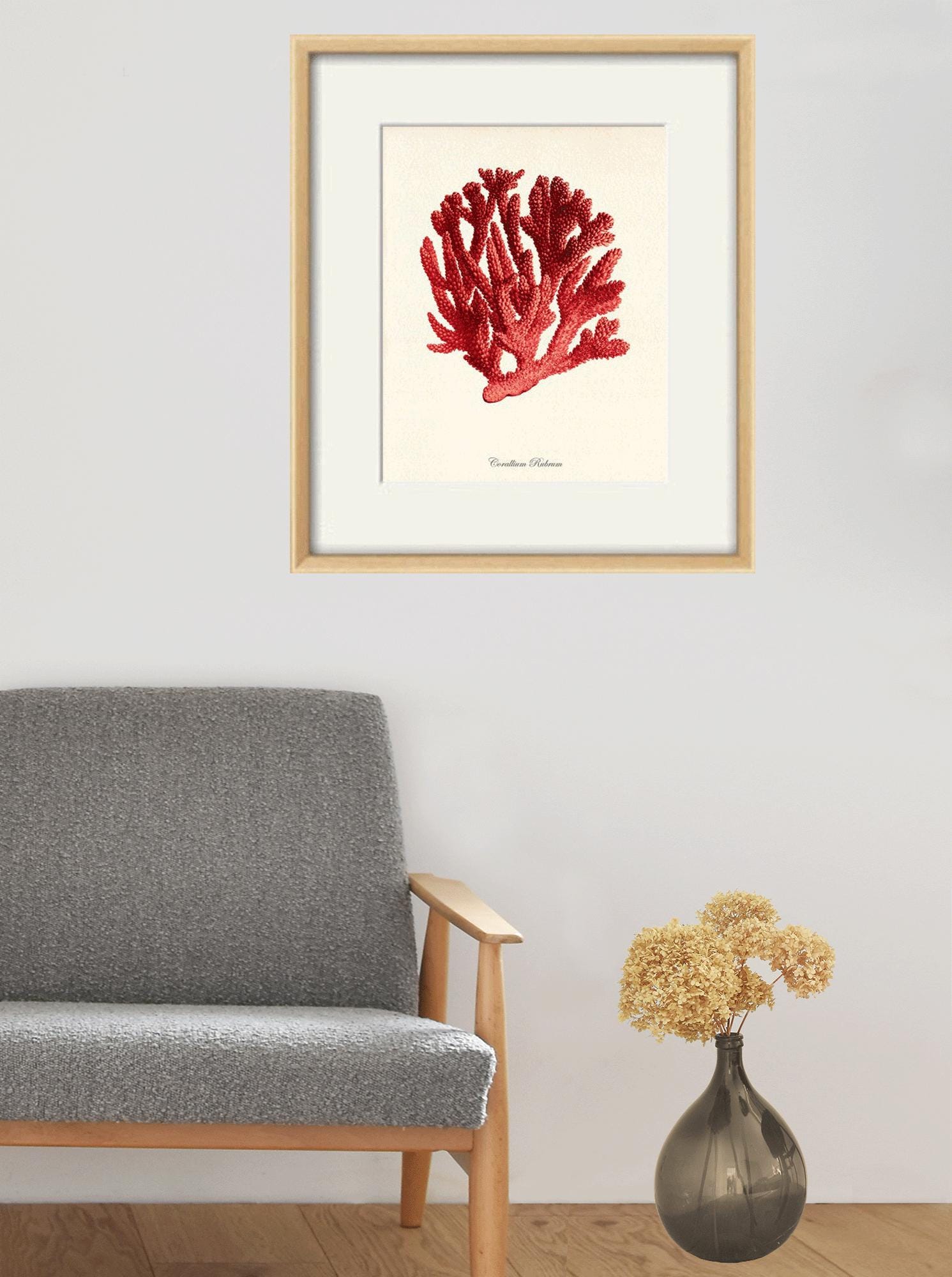 Red Sea Coral Art Print Vintage Sea Art Print Old Prints