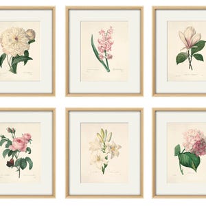 Antique botanical print Botanical art prints flower prints wall art flowers botanical poster antique wall art home decor wall art SET of 6