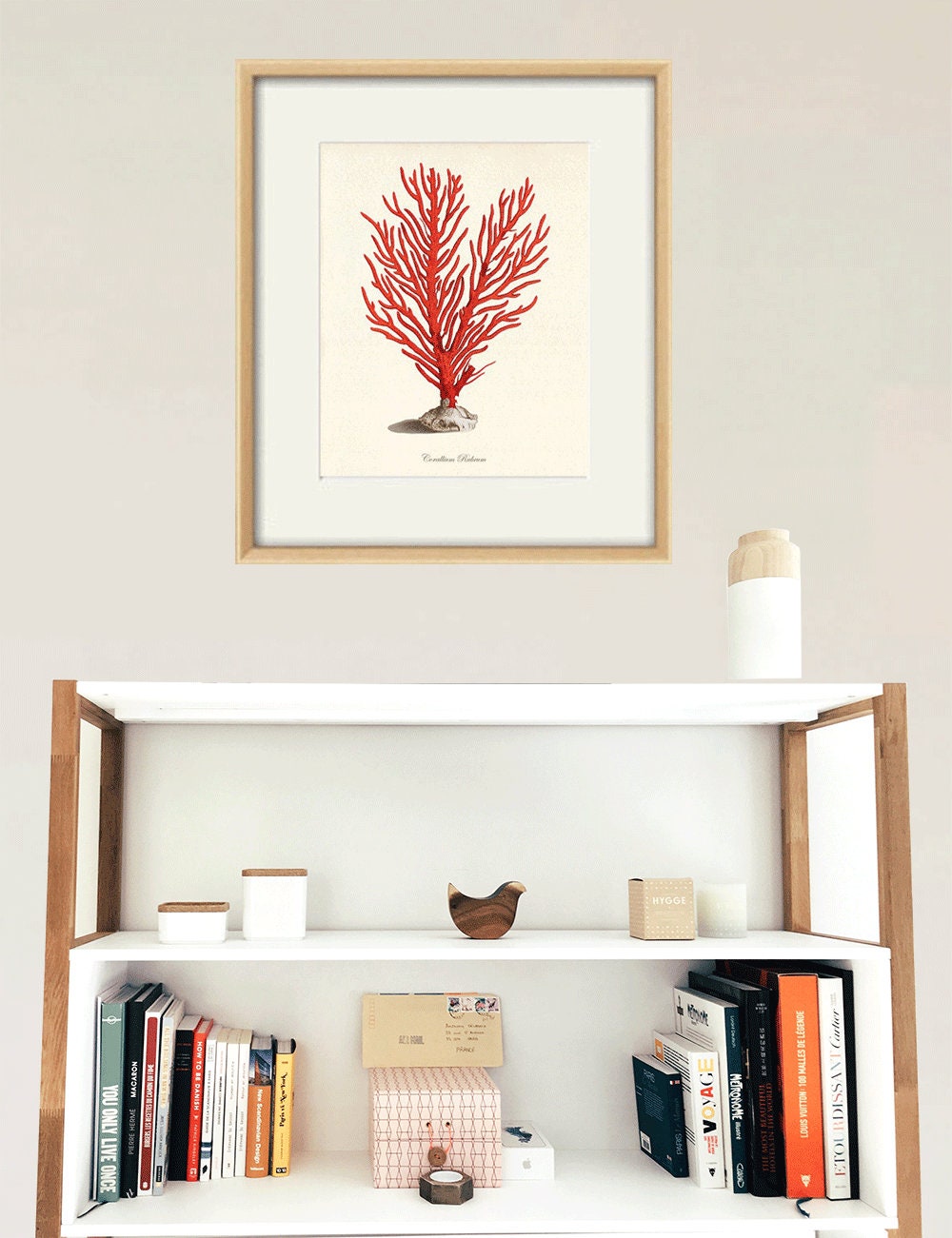 Sea Coral Art Print Vintage Sea Art Print Old Prints Nautical Etsy