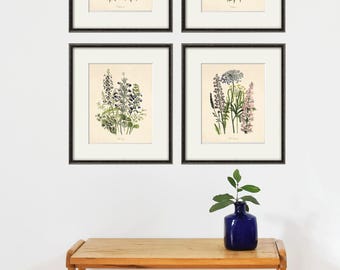 Juego de 4 láminas botánicas antiguas, láminas de arte botánico, láminas de flores, arte de pared, flores, póster botánico, arte de pared antiguo, decoración del hogar, arte de pared