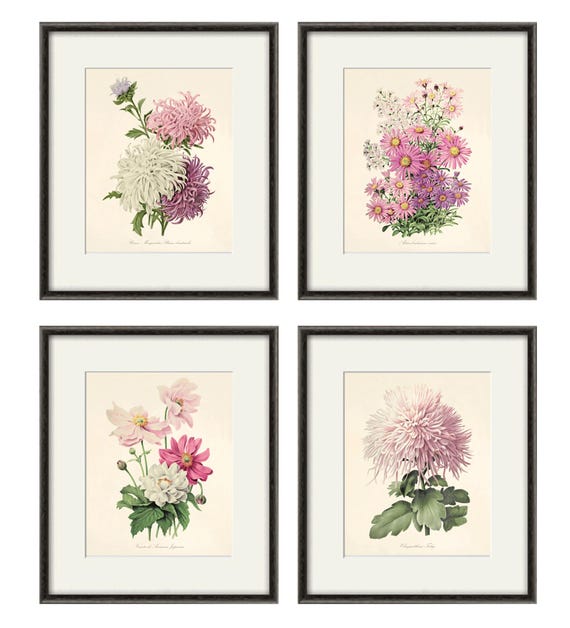 アンティークピンクの花柄プリント、4枚セット：植物画の壁掛けアート