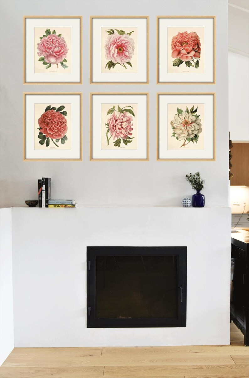 May include: Six framed botanical prints of pink and white peonies on a white wall above a black fireplace.