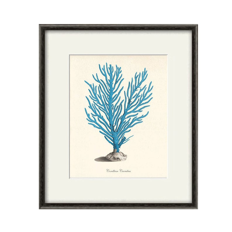 Blue Coral Art Print Vintage Nautical Art Print Sea Art Print - Etsy UK