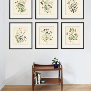 Antique botanical prints SET of 6 Botanical art prints flower prints wall art flowers botanical poster antique wall art home decor wall art
