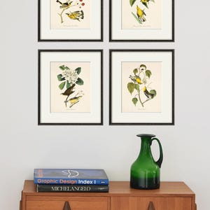 May include: Four framed prints of yellow birds perched on branches with white flowers. The prints are arranged in a grid on a white wall above a wooden dresser with two books and a green glass vase.