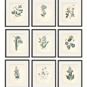 Antique botanical print Botanical art prints flower prints wall art flowers botanical poster antique wall art home decor wall art SET of 9