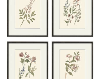 Juego de 4 láminas botánicas antiguas: Arte floral francés