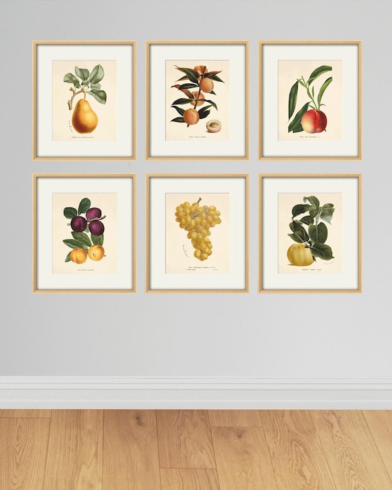 Set Di 6 Stampe Artistiche Da Parete Con Frutta – Poster Vintage Con Limoni – 20x25 Cm – Tela Di Alta Qualità, Decorazione Per Cucina, Soggiorno, Camera Da Letto