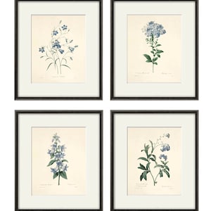 Antique botanical prints SET of 4 Botanical art prints flower prints wall art flowers botanical poster antique wall art home decor wall art