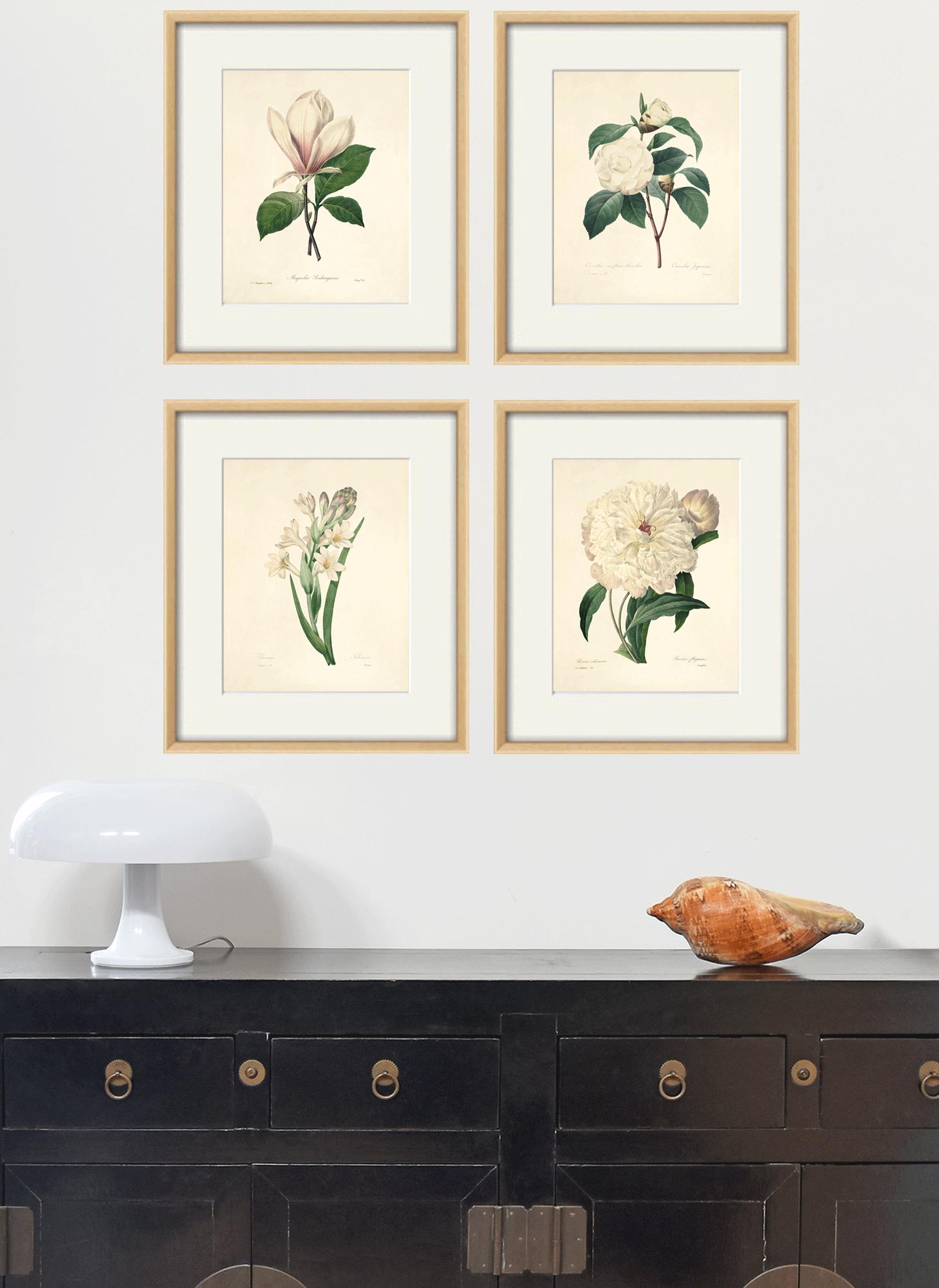 White Botanical Prints Vintage Flower Art Cottage Wall Art Victorian ...