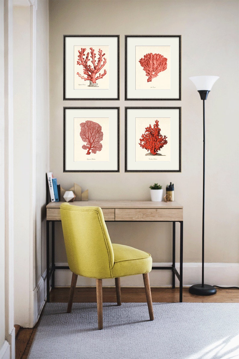 Red sea coral art Nautical art print set old prints ocean life art Ocean Decor nature print beach art Home decor wall art Sea art print image 4