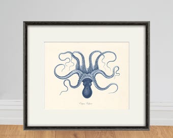 Antique Octopus Art Print: Vintage Nautical Ocean Decor