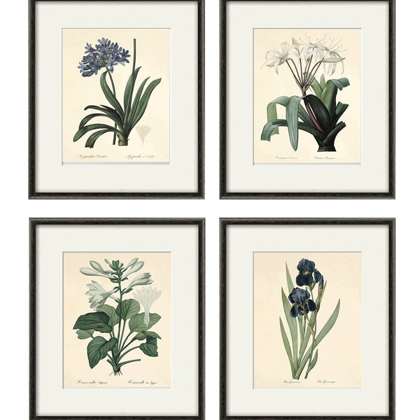 Antique flower art Print set antique prints botanical prints flower wall art Victorian art French prints old prints garden wall art set of 4