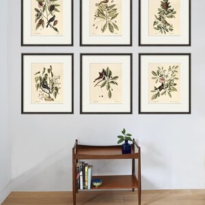 May include: Six framed botanical prints featuring detailed illustrations of birds perched on branches with leaves and berries. The prints are in black frames with white matting, displayed on a white wall above a wooden side table.