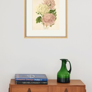 Puede incluir: Una ilustraci&oacute;n bot&aacute;nica enmarcada de crisantemos rosas y blancos con hojas verdes. La ilustraci&oacute;n est&aacute; sobre un fondo crema y tiene un aspecto vintage.