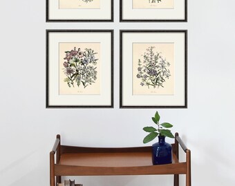 Antique French Botanical Prints - Pink Wildflower Victorian Art Set