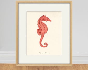 Vintage Seahorse Art Print, Antique Ocean Illustration