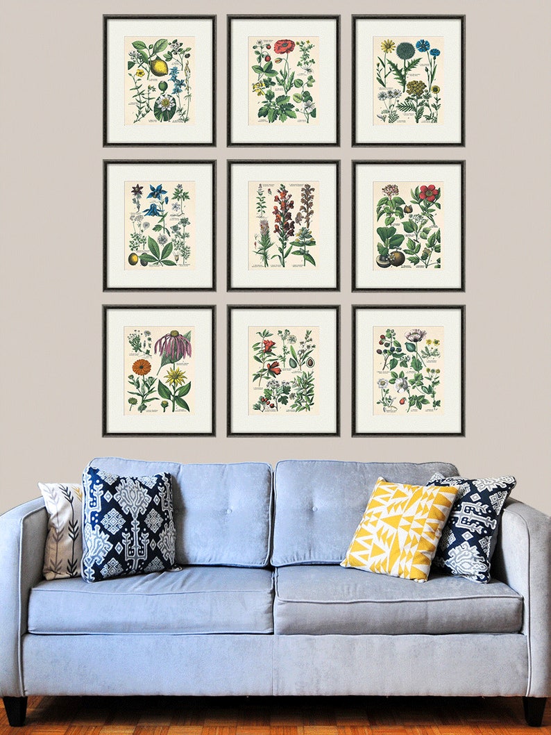 Kitchen Herbs wall art antique botanical print set of 9 herb | Etsy