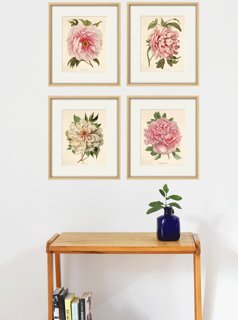 May include: Four framed botanical prints of pink and white peonies, displayed on a white wall above a wooden table with a blue vase and a small plant.