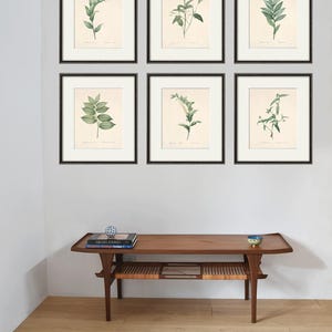 Botanical print set leaf art print French Botanical art print Cottage wall art leaf wall art plants art print botanical wall art leaf print