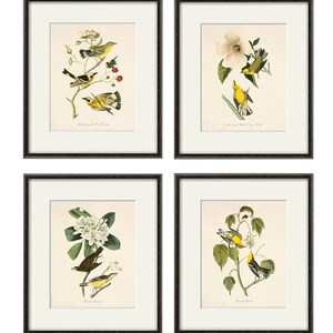 May include: Set of four framed prints featuring yellow and black birds perched on branches with flowers and berries. The prints are titled "Black-throated Green Warbler", "Blue-winged Yellow Warbler", "Canada Warbler", and "Chestnut-sided Warbler".