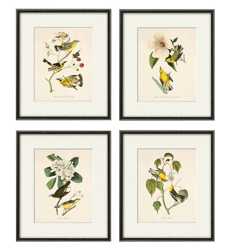 May include: Set of four framed prints featuring yellow and black birds perched on branches with flowers and berries. The prints are titled "Black-throated Green Warbler", "Blue-winged Yellow Warbler", "Canada Warbler", and "Chestnut-sided Warbler".