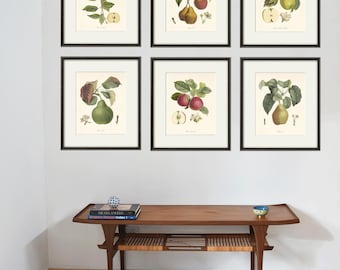 Set met antiek fruit botanische print: vintage keukenmuurkunst