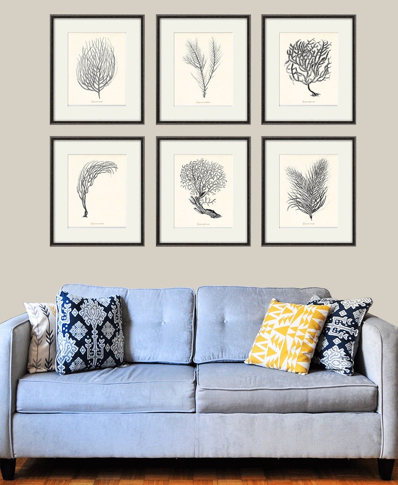 Sea Coral Art Print Nautical Art Print Set of 6 Antique Wall Etsy