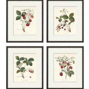 Strawberry art fruit art print Vintage kitchen art print antique botanical art prints fruit wall art kitchen art decor fruit print vintage