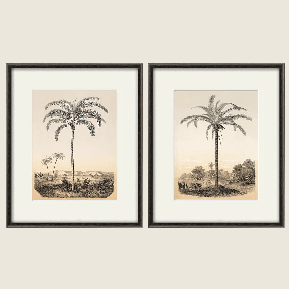Palm tree art print antique Botanical Art Prints Home Decor Wall Art Victorian art print Sepia art print Vintage prints antique wall art