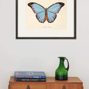 Puede incluir: Una impresi&oacute;n enmarcada de una mariposa azul y marr&oacute;n sobre un fondo blanco. La impresi&oacute;n est&aacute; colgada en una pared blanca sobre una c&oacute;moda de madera con dos libros y un jarr&oacute;n de vidrio verde.