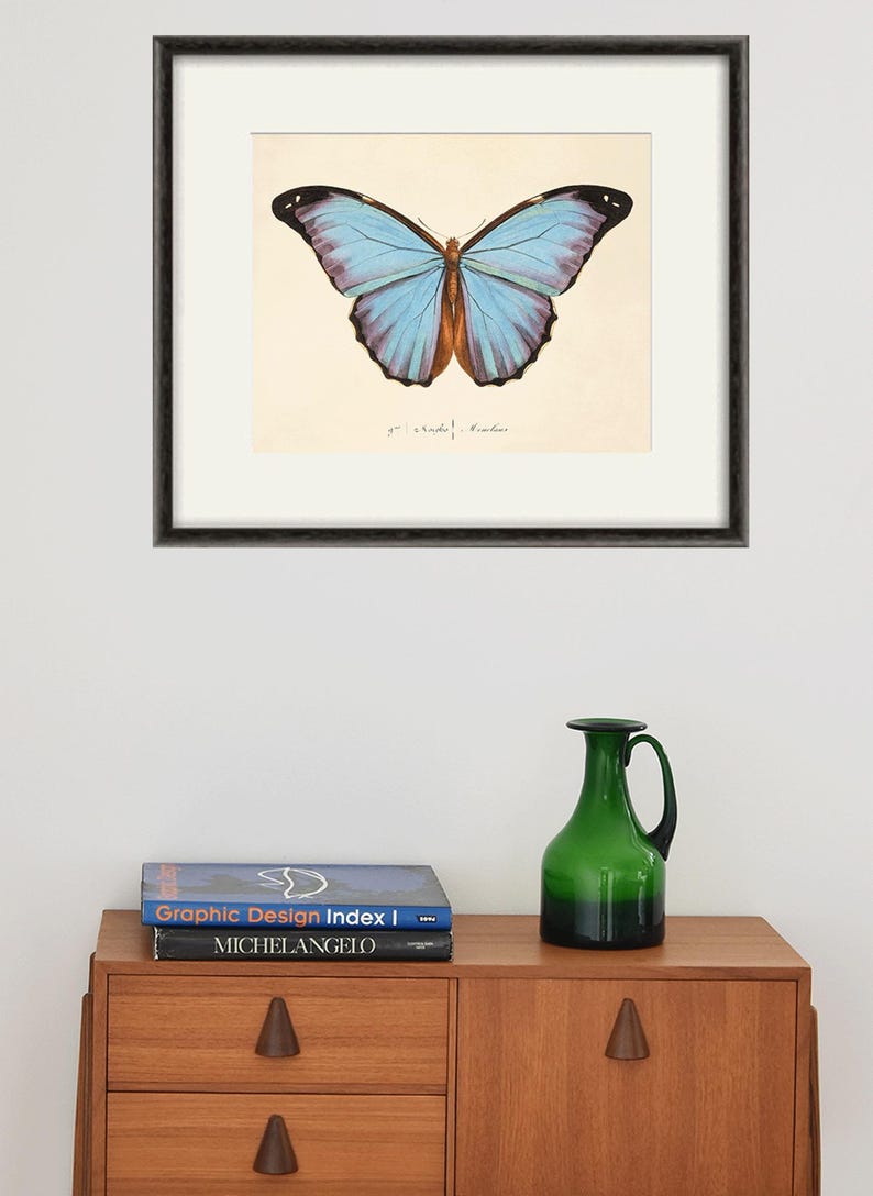 Puede incluir: Una impresi&oacute;n enmarcada de una mariposa azul y marr&oacute;n sobre un fondo blanco. La impresi&oacute;n est&aacute; colgada en una pared blanca sobre una c&oacute;moda de madera con dos libros y un jarr&oacute;n de vidrio verde.