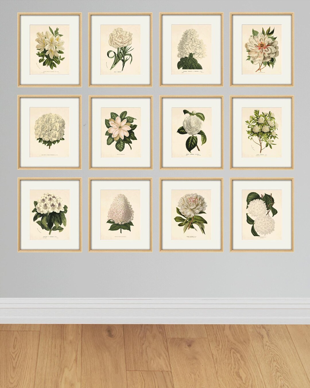 White Flower Art Botanical Print Set 12 Antique Flower Art Print ...