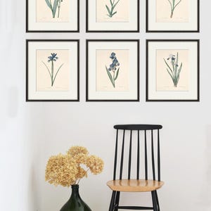 Antique botanical prints SET of 6 Botanical art prints flower prints wall art flowers botanical poster antique wall art home decor wall art