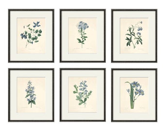 Juego de 6 láminas botánicas antiguas, láminas de arte botánico, láminas de flores, arte de pared, flores, póster botánico, arte de pared antiguo, decoración del hogar, arte de pared