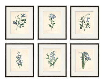 Antique botanical prints SET of 6 Botanical art prints flower prints wall art flowers botanical poster antique wall art home decor wall art