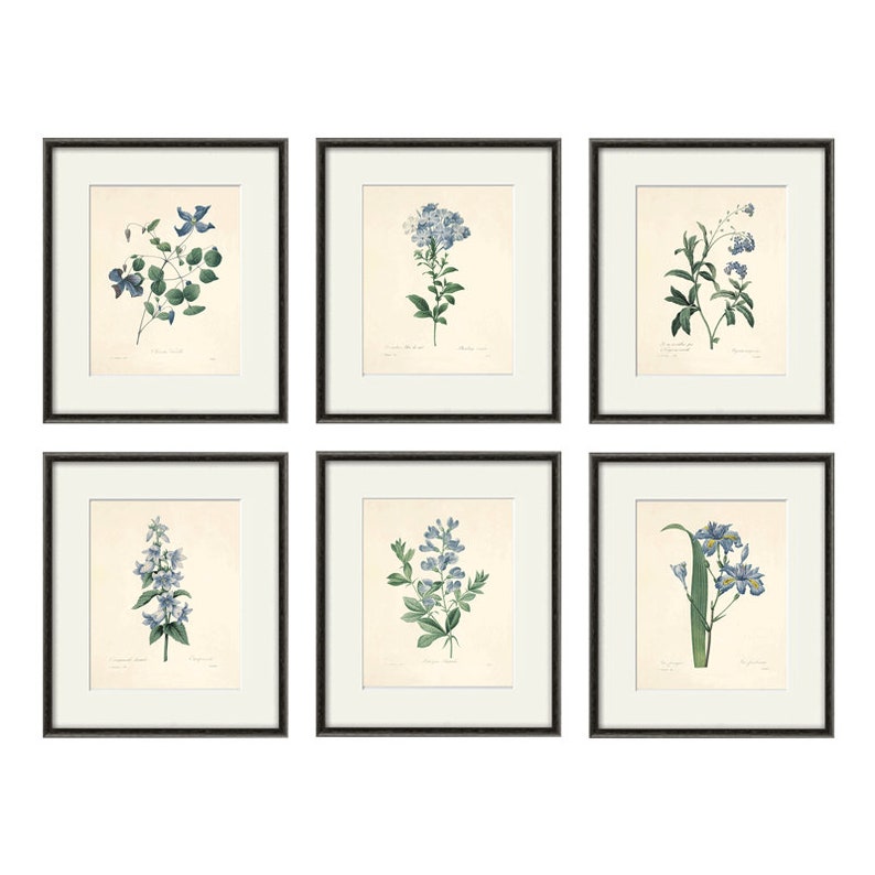 Antique botanical prints SET of 6 Botanical art prints flower Etsy
