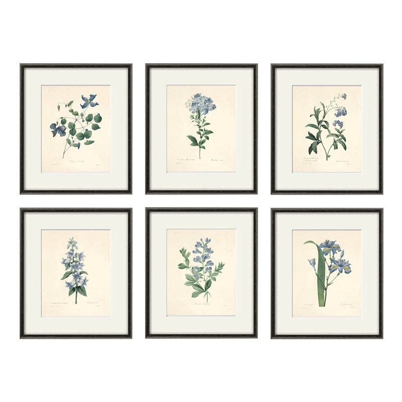 Antique botanical prints SET of 6 Botanical art prints flower | Etsy