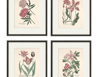 Antique Botanical Prints Set of 4: French Floral Wall Art