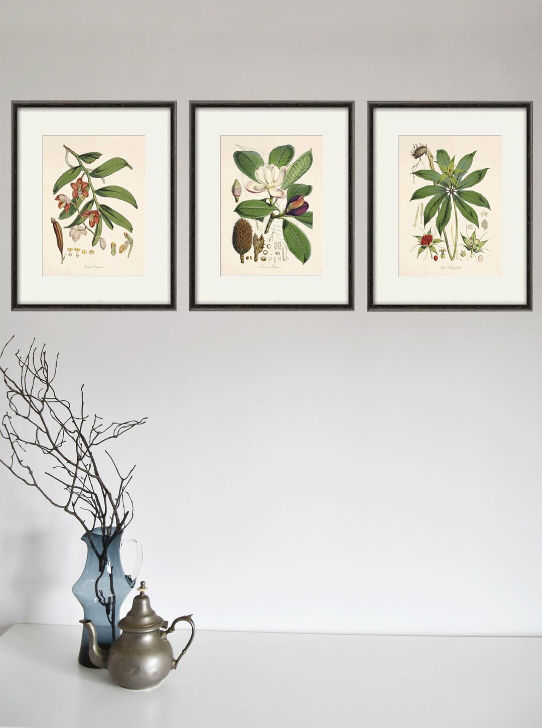 Antique Botanical Prints SET of 3 Botanical Art Prints Flower Prints ...