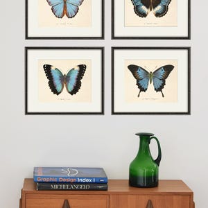 Puede incluir: Cuatro impresiones enmarcadas de mariposas azules y negras con detalles blancos. Las impresiones est&aacute;n dispuestas en forma de cuadr&iacute;cula en una pared blanca. Un jarr&oacute;n de vidrio verde se encuentra sobre una c&oacute;moda de madera con dos libros encima.