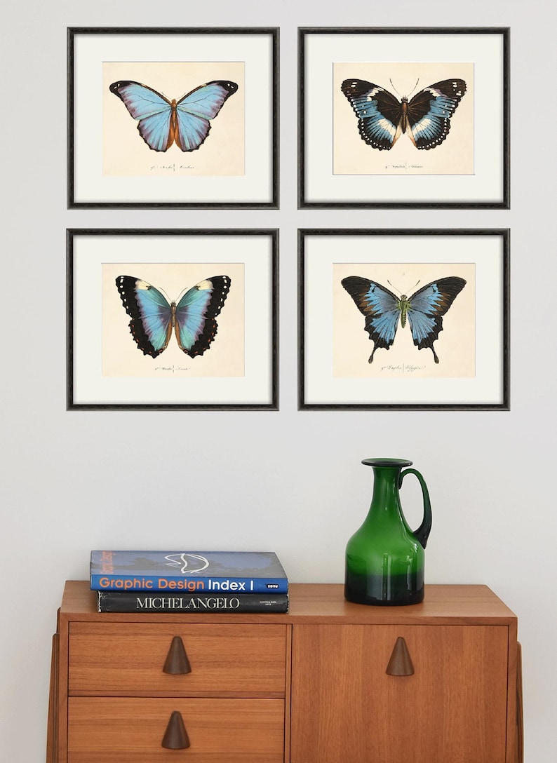 Puede incluir: Cuatro impresiones enmarcadas de mariposas azules y negras con detalles blancos. Las impresiones est&aacute;n dispuestas en forma de cuadr&iacute;cula en una pared blanca. Un jarr&oacute;n de vidrio verde se encuentra sobre una c&oacute;moda de madera con dos libros encima.