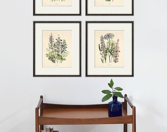 Antique botanical prints SET of 4 Botanical art prints flower prints wall art flowers botanical poster antique wall art home decor wall art