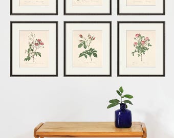 Antique Pink Rose Print: French Victorian Cottage Wall Art
