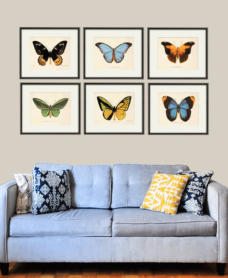Butterfly art print French art print Cottage wall decor Victorian wall decor Antique print Nature wall art Home decor art Butterfly decor image 5